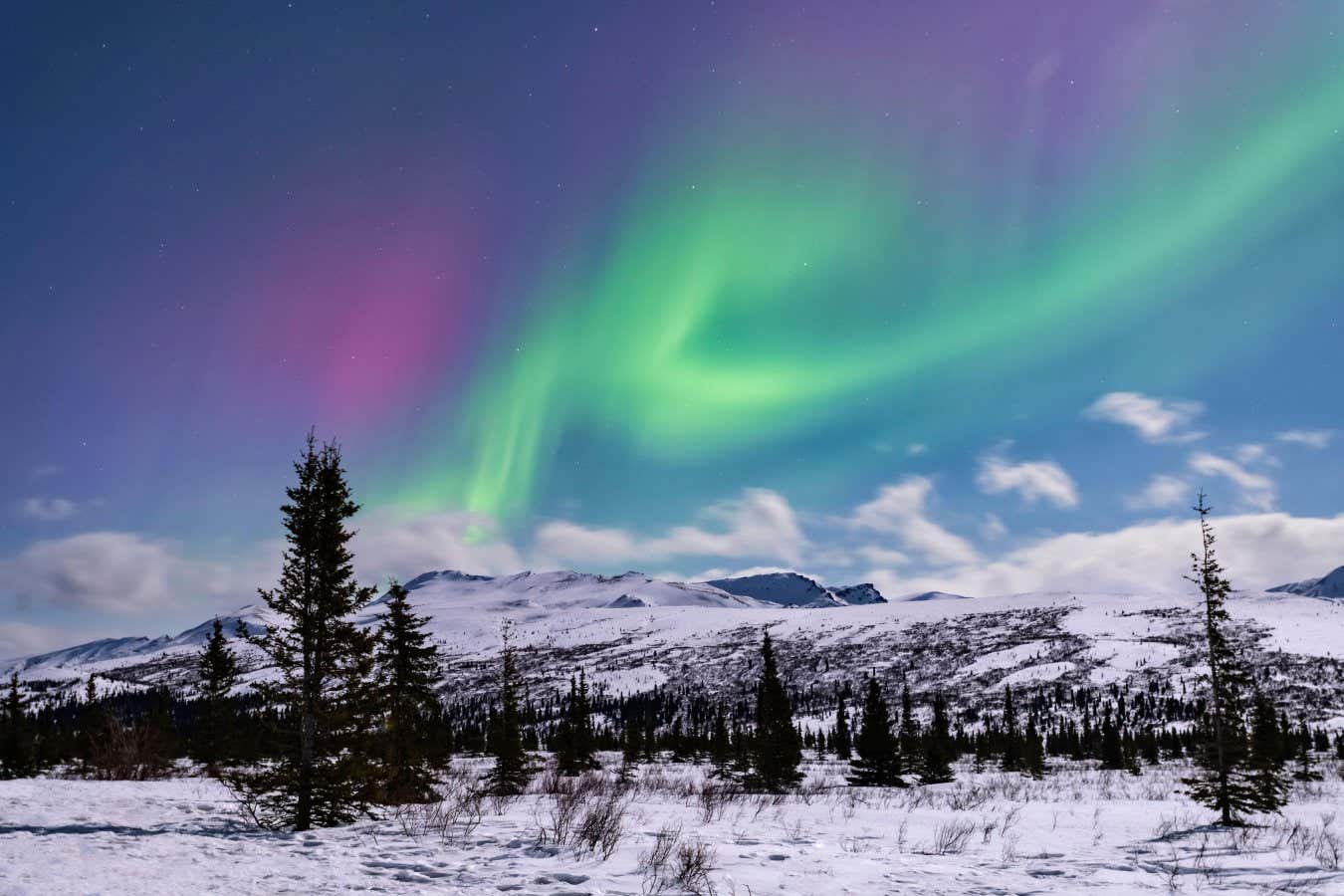 2WYBYF8 North America; United States; Alaska; Denali National Park; Taiga-Tundra; Winter; Natural Phenomena; Night Sky; Aurora Borealis; Northern Lights;