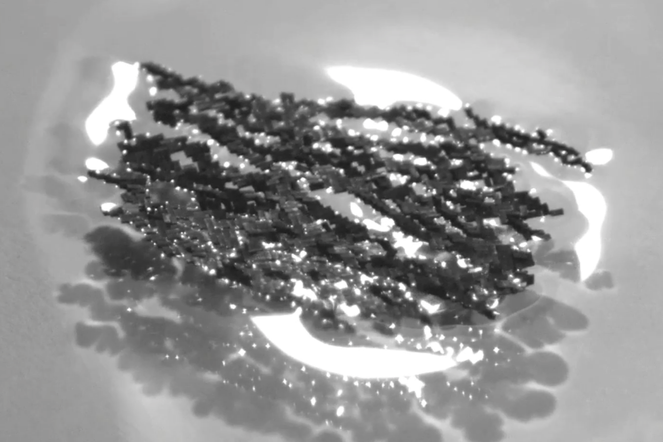 Swarms of tiny robots coordinate to achieve ant-like feats of strength